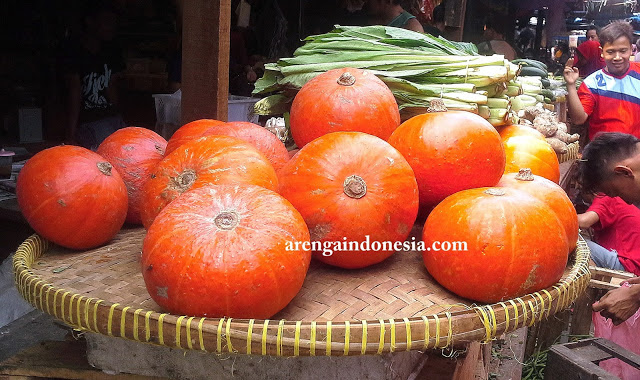 Foto labu kuning kecil Kobucha - Labu Kuning Jepang