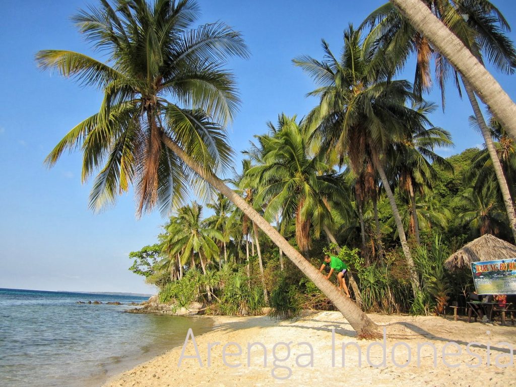 Air Kelapa Muda Untuk Kesehatan