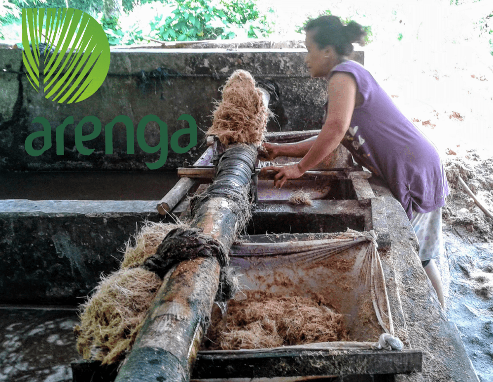 Membuat tepung aren